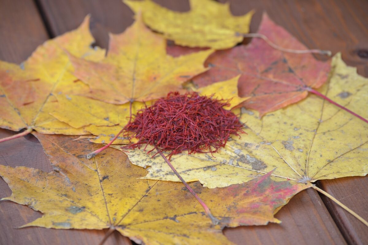 saffron, safran, crocus, nature, spices, krokus, flower, spice, taste, cook, aroma, red, spring, plant, kitchen, menu, market, saffron, saffron, saffron, saffron, saffron, safran